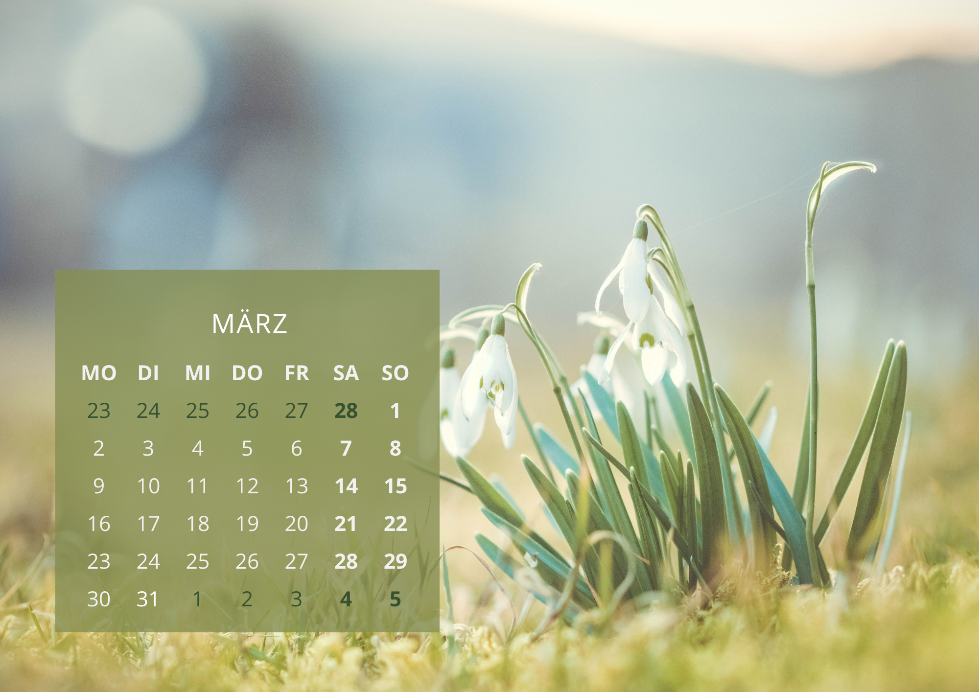 Märzkalender mit Schneeglöckchen im Hintergrund